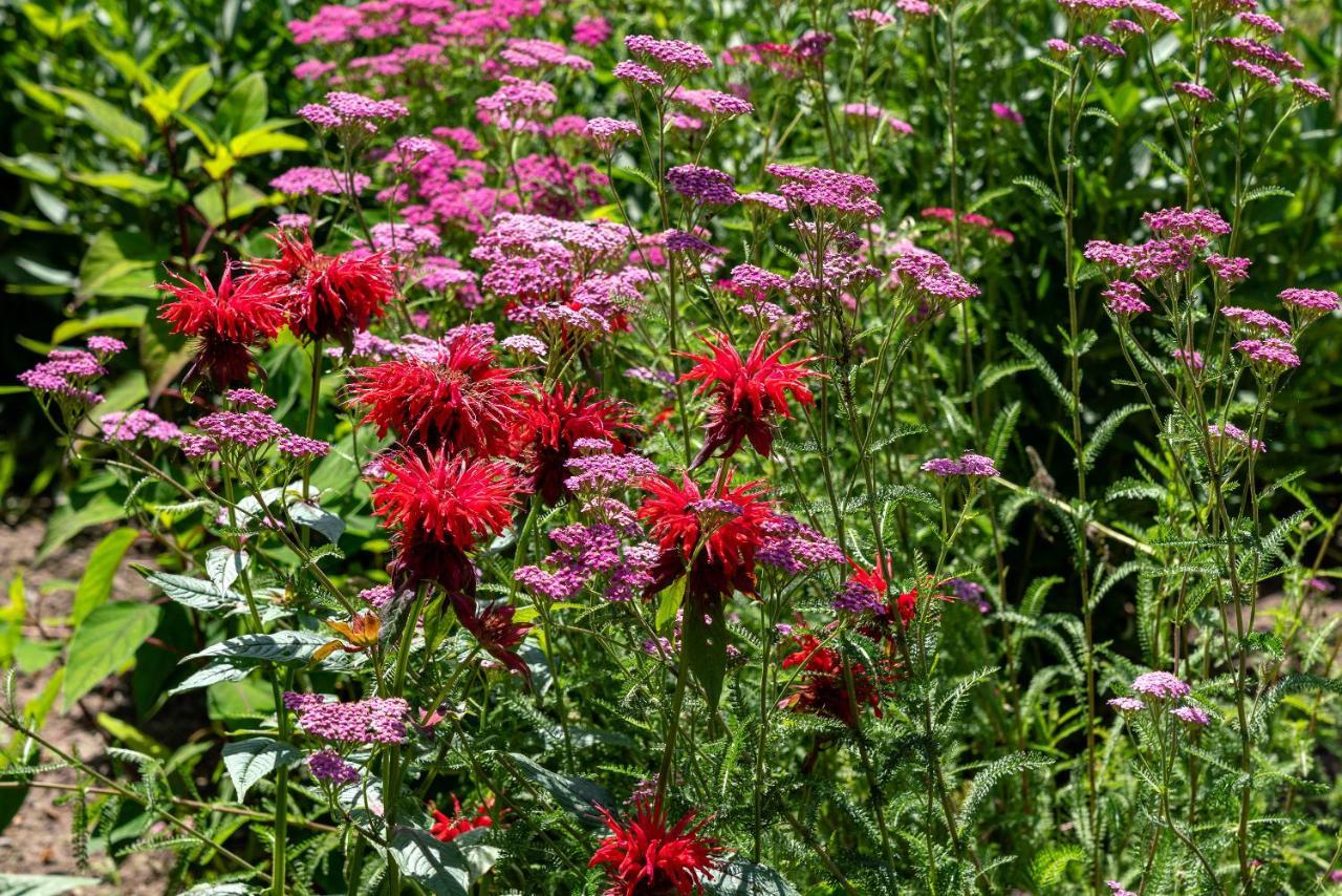 B&B De Hemelse Polder Sint-Laureins Eksteriør billede