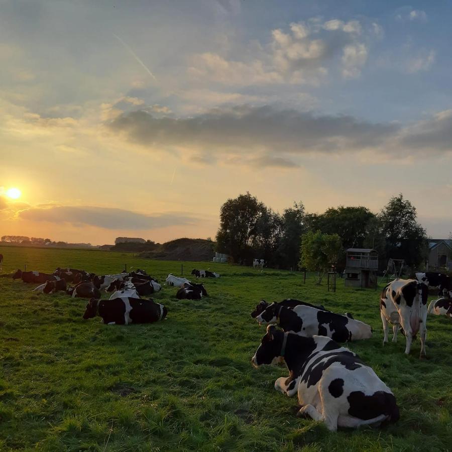 B&B De Hemelse Polder Sint-Laureins Eksteriør billede