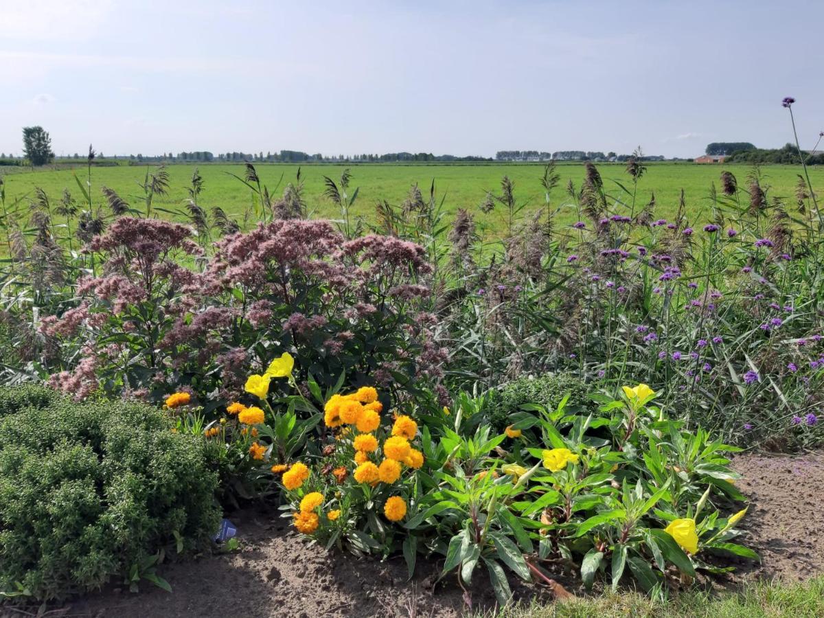 B&B De Hemelse Polder Sint-Laureins Eksteriør billede