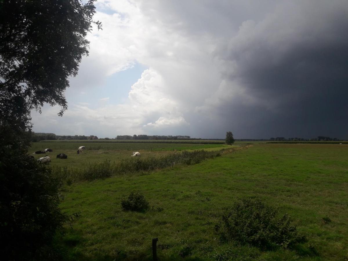 B&B De Hemelse Polder Sint-Laureins Eksteriør billede