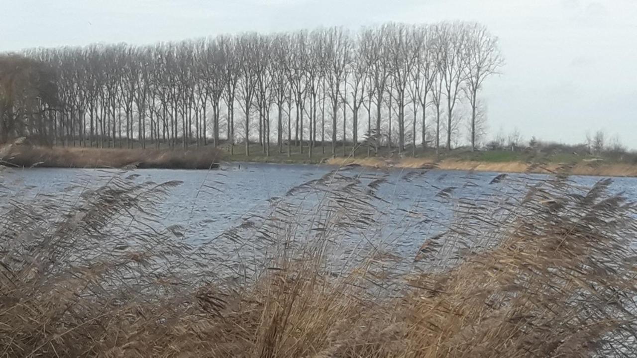 B&B De Hemelse Polder Sint-Laureins Eksteriør billede